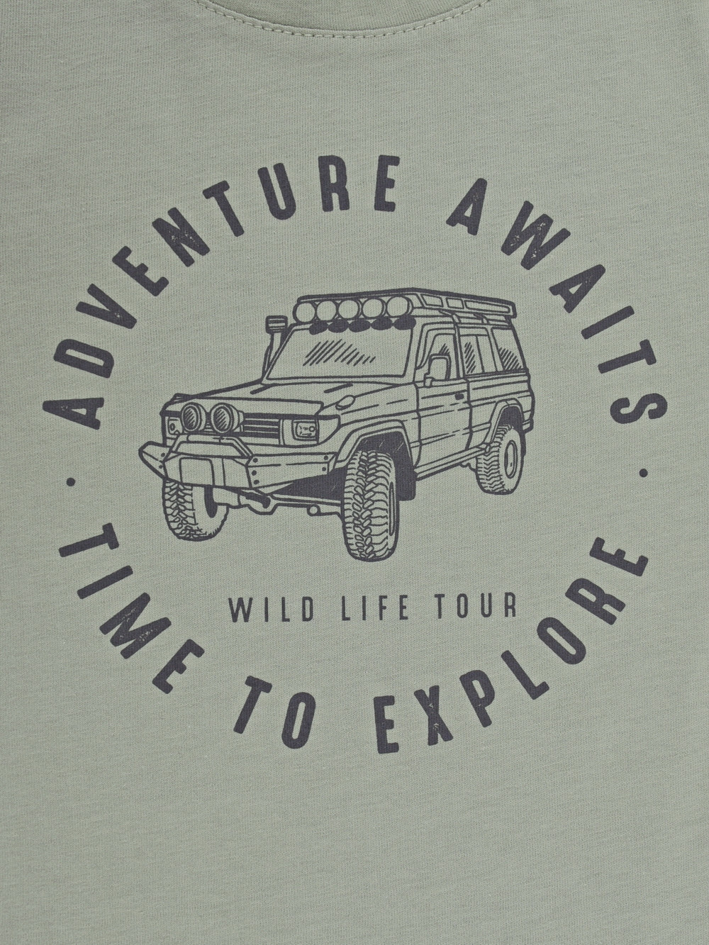 Футболка для мальчика, артикул: К 302298, цвет: хаки, фото 2