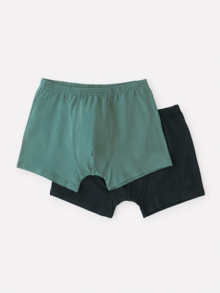 Трусы для мальчика, артикул: К 1912-2уп, цвет: зеленый